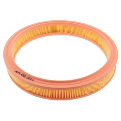 Bilde av MAPCO 60561 Luftfilter 50 305 Filterinnsats FORD: Escort 4 Cabriolet, 4, 5