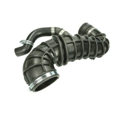 Bilde av THERMOTEC DCG092TT Sugeslange, luftfilter inngang FORD: Transit Connect Mk1 Van