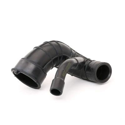 Bilde av SASIC 3330001 Sugeslange, luftfilter inngang PEUGEOT: 307 Hatchback