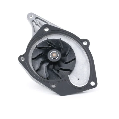 Bilde av INA 538 0047 10 Vannpumpe for tannremdrift RENAULT: MEGANE 3, Kangoo II Express, SCENIC NISSAN: NV200 / Evalia Minibuss, Qashqai Qashqai+2 I