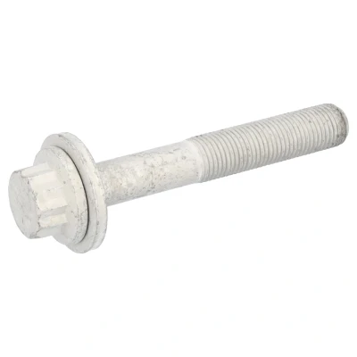 Bilde av FEBI BILSTEIN 32025 Remskiveskrue framside VOLKSWAGEN: Polo V Hatchback, Caddy 3, GOLF 6