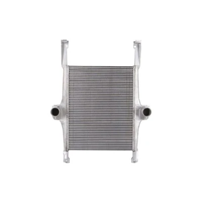 Bilde av Intercooler THERMOTEC DAIV002TT