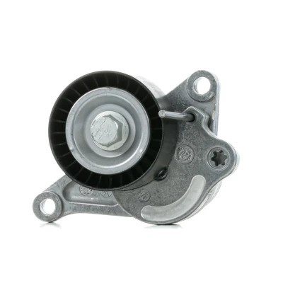 Bilde av FEBI BILSTEIN 36831 Spennarm NISSAN: Qashqai / Qashqai+2 I, RENAULT: MEGANE 3