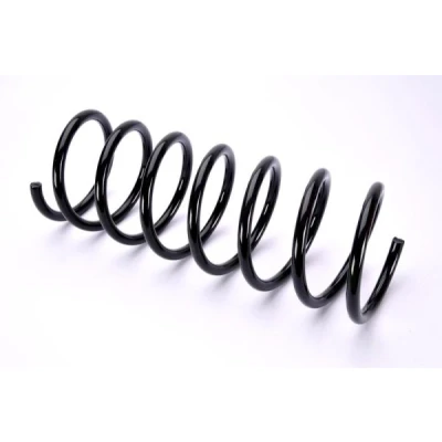 Bilde av Fjær Magnum Technology SB024MT