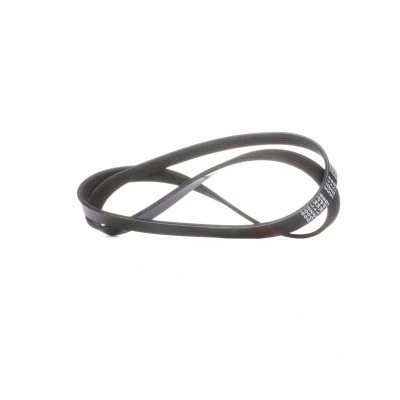 Bilde av FEBI BILSTEIN 28862 Kileribberem 1200 5 EPDM (etyl propylen dien gummi) RENAULT: Kangoo I, MEGANE 2 Kombi, I Express