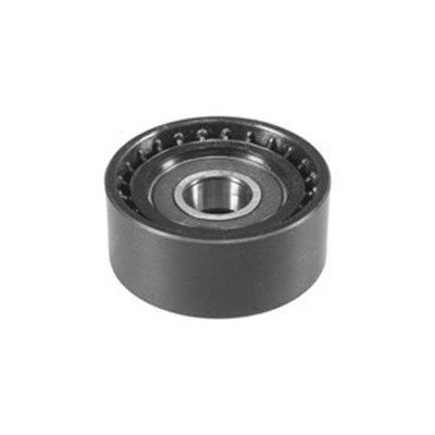 Bilde av MAGNETI MARELLI 331316170014 Styrerulle kilerem