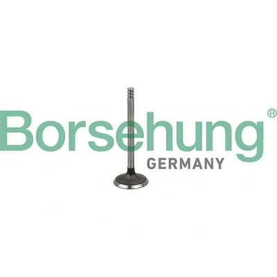Bilde av Borsehung B19029 Innløpsventil VOLKSWAGEN: Multivan 5 (7HM, Transporter Bus, 5, SKODA: Octavia 1 Combi