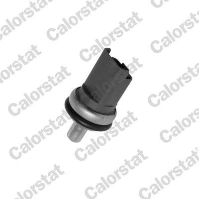 Bilde av CALORSTAT by Vernet WS2610 Kjølevæsketemperatursensor FIAT: Ducato II Flatvogn lastebil/Chassis, PEUGEOT: Boxer Van, 306 Hatchback, Partner I Van