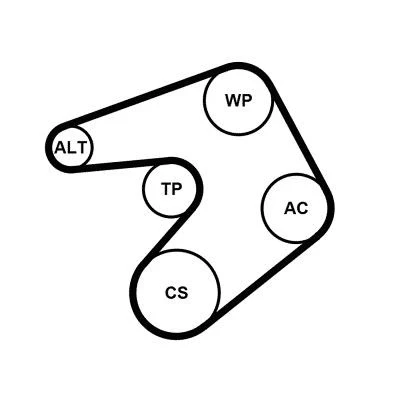 Bilde av CONTITECH 6PK1244K1 Kileribberem PEUGEOT: 508 I SW, 3008 I, 308 Hatchback, CITROËN: C4 II Jumpy MPV, C5 III Stasjonsvogn