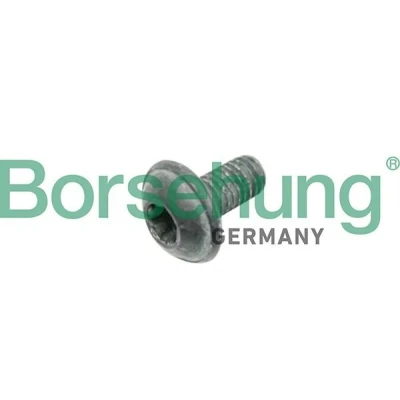 Bilde av Borsehung B10635 Skrue, bremseskive VOLKSWAGEN: Transporter 5, Golf Plus / Crossgolf, 7, AUDI: A4 B8 Avant, A3 Sportback, A6 C6 Allroad