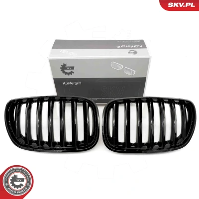 Bilde av ESEN SKV 66SKV276 Radiatorgitter glanset, svart BMW: X5