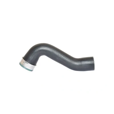 Bilde av BUGIAD 87603 Ladeluftslange 60 VOLKSWAGEN: Golf 5, Passat B6 Variant, Touran I