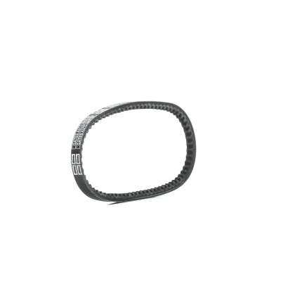 Bilde av GATES 6202MC Kilerem 10 550 CITROËN: DS Sedan