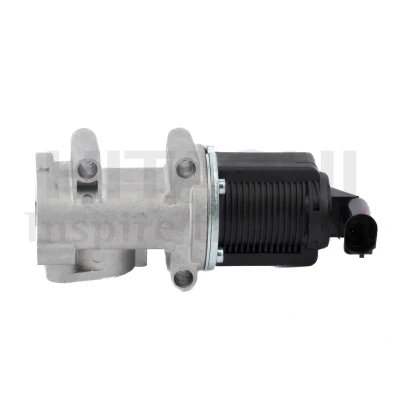 Bilde av HITACHI 2505967 EGR Ventil FIAT: BRAVO 2