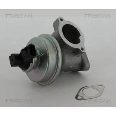 Bilde av TRISCAN 8813 16012 EGR Ventil pneumatisk med tetning FORD: MONDEO 3 Kombi