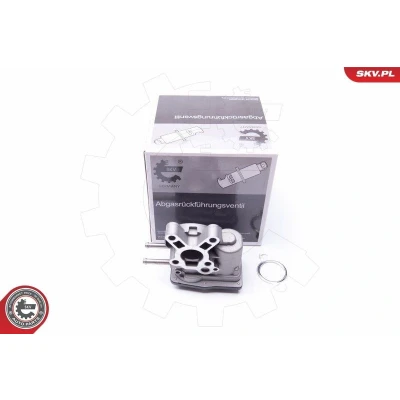 Bilde av ESEN SKV 14SKV103 EGR Ventil elektrisk NISSAN: Pathfinder 3, NP300 Navara Pick up