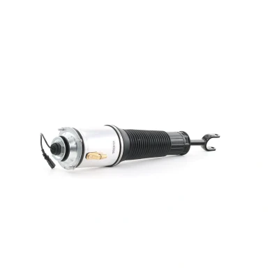 Bilde av Luftfjærbein BILSTEIN 45 257186