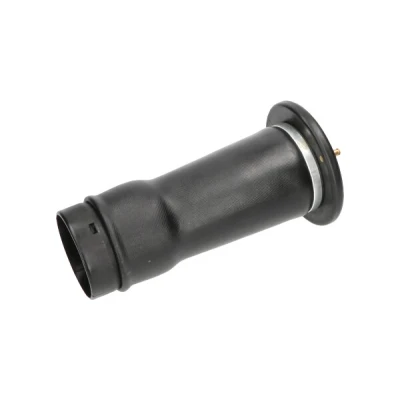 Bilde av KAVO PARTS SAS 10025 Luftfjær, chassis bakaksel LAND ROVER: Discovery 2