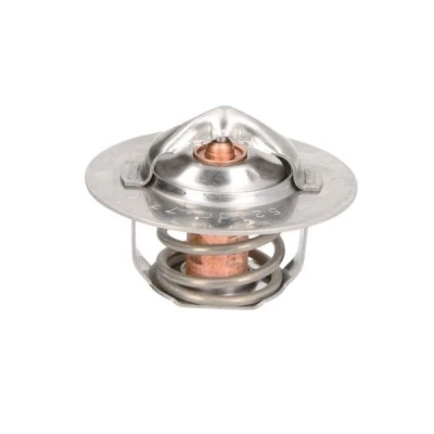 Bilde av THERMOTEC D2DE002TT Termostat 77
