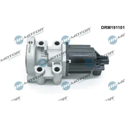 Bilde av DR.MOTOR AUTOMOTIVE DRM191101 EGR Ventil MITSUBISHI: PAJERO 4, 3