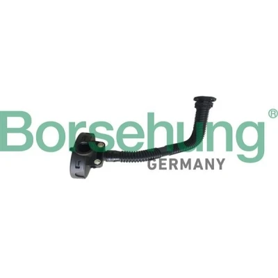 Bilde av Borsehung B19055 ventil, veivhuslufting VOLKSWAGEN: Polo V Hatchback, SKODA: Fabia 2, Roomster