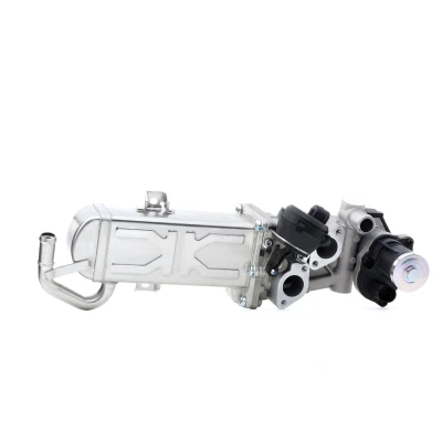 Bilde av PIERBURG 7.09720.00.0 EGR Ventil elektrisk med tetning VOLKSWAGEN: GOLF 6, Tiguan I, Passat B7 Variant, SKODA: Yeti, Octavia 2 Combi
