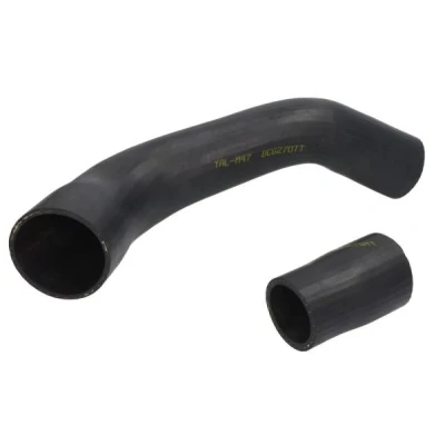 Bilde av THERMOTEC DCG270TT Ladeluftslange gummi