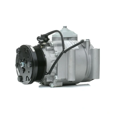 Bilde av DELPHI TSP0159310 Kompressor Visteon Scroll PAG 46 med kompressorlje