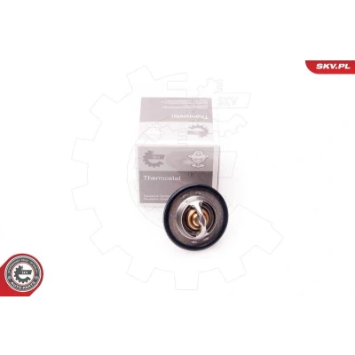 Bilde av Termostat, kjølemiddel, dacia,nissan,opel,renault, 2130600QAC, 4408334, 4408398, 4411709, 7700104139, 7700106826, 7700741923, 7700872554