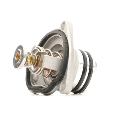Bilde av CALORSTAT by Vernet TH6951.92J Termostat 92 med tetning metallkledning