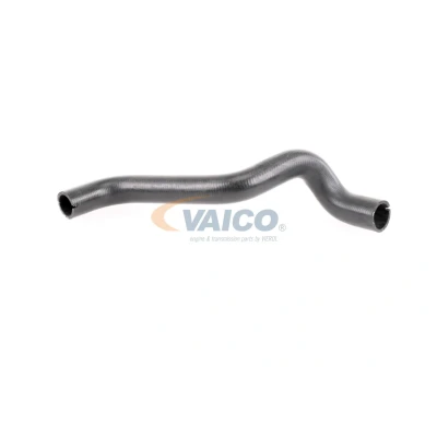 Bilde av VAICO V24 0868 Radiatorslange Original Quality