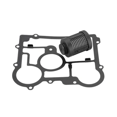 Bilde av BorgWarner DS2006273 Hydraulikkfilter, Haldex clutch VOLKSWAGEN: Passat B6 Variant, Transporter 5 Bus, Caddy 3, SKODA: Octavia 2 Combi