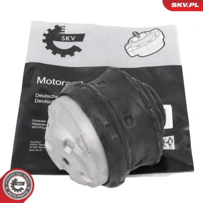 Bilde av Lagring, motor, Foran, Høyre, Venstre Esen skv 75SKV002 mercedes benz OE 2032401417, 2032402117, 2102403017