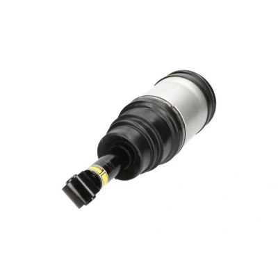 Bilde av Luftfjærbein KAVO PARTS SAS 10020