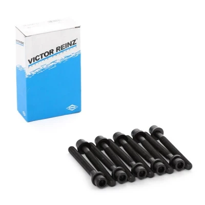 Bilde av REINZ 14 32047 01 Sylindertoppskrue innvendig polygonhode VOLKSWAGEN: GOLF 3, 4, 2, AUDI: A4 B5 Avant, Sedan, 80 B4 Avant