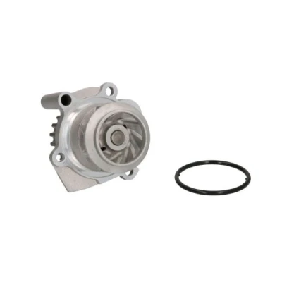 Bilde av THERMOTEC D1W037TT Vannpumpe 19 med tetning mekanisk VOLKSWAGEN: Multivan 5 (7HM, Transporter 5, Golf SKODA: Fabia 2, Octavia 2 Combi, Roomster