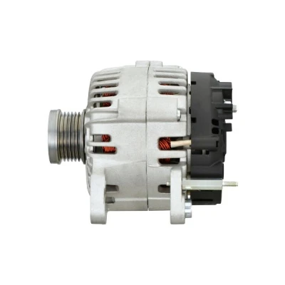 Bilde av HELLA 8EL 015 630 501 Dynamo 14V 110A VOLKSWAGEN: Polo V Hatchback, Caddy 3, Golf Plus / Crossgolf, SKODA: Octavia 2 Combi, Fabia