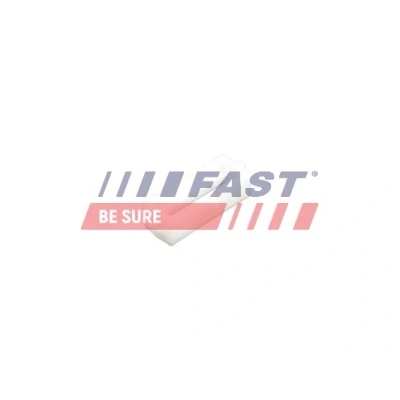 Bilde av FAST FT96603 klips, pynte /beskyttelseslist PEUGEOT: Boxer Van, Minibuss, FIAT: Ducato III Flatvogn lastebil / Chassis