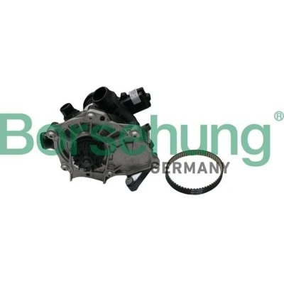 Bilde av Borsehung B19205 Vannpumpe med rem AUDI: A4 B8 Avant, A7 Sportback, Sedan, VOLKSWAGEN: Golf 7, Passat Variant, Beetle Hatchback