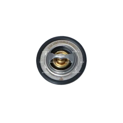 Bilde av NRF 725435 Termostat 89C med tetningsring uten kapsling RENAULT: MEGANE 2 Coupe Cabriolet, 3 Grandtour, Kangoo I Express, DACIA: Duster Van