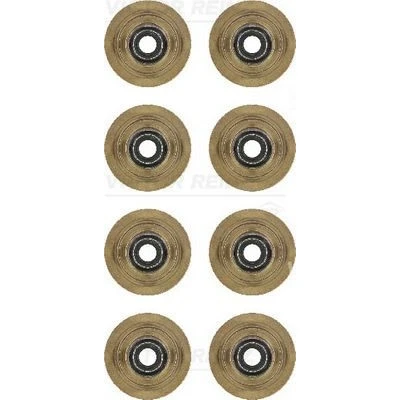Bilde av REINZ 12 31056 01 Tetningssett, ventilstamme FORD: Sierra Mk2 Hatchback, FIESTA 2