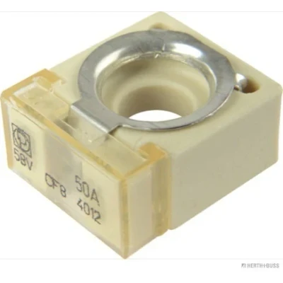 Bilde av HERTH+BUSS ELPARTS 50295880 Sikring 50 58