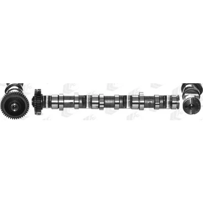 Bilde av AE CAM937 Kamaksel for sylinder 4 6, Eksosside AUDI: A4 B7 Avant