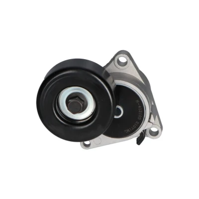 Bilde av KAVO PARTS DTP 6507 Strammerull NISSAN: X Trail