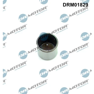 Bilde av DR.MOTOR AUTOMOTIVE DRM01829 stift, høytrykkspumpe AUDI: A4 B7 Avant, A3 Sportback, VOLKSWAGEN: Eos, Golf 5, Scirocco III