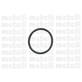 Bilde av METELLI 24 0430 Vannpumpe med tetningsring mekanisk Støpejern for vifteremdrift BMW: 3 Touring, Sedan, 5 Sedan