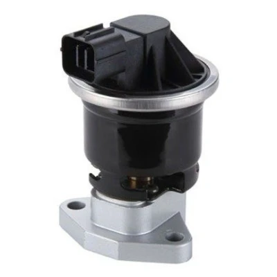 Bilde av MAGNETI MARELLI 571822112114 EGR Ventil