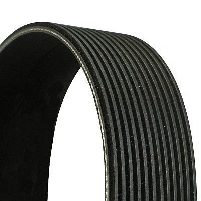 Bilde av CONTITECH 12PK1515 Kileribberem 1515 12