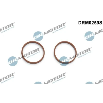 Bilde av DR.MOTOR AUTOMOTIVE DRM0259S Tetningssett, innsugningsmanifold FORD: MONDEO 4 Turnier, S Max Mk1, VOLVO: V70 3, V50, PEUGEOT: 308 I Hatchback