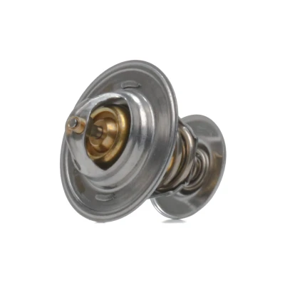 Bilde av MEYLE 100 121 0048 Termostat 87 ORIGINAL Quality med tetning AUDI: A4 B6 Avant, A2, B5 VOLKSWAGEN: TRANSPORTER 3 Bus, Polo III Hatchback
